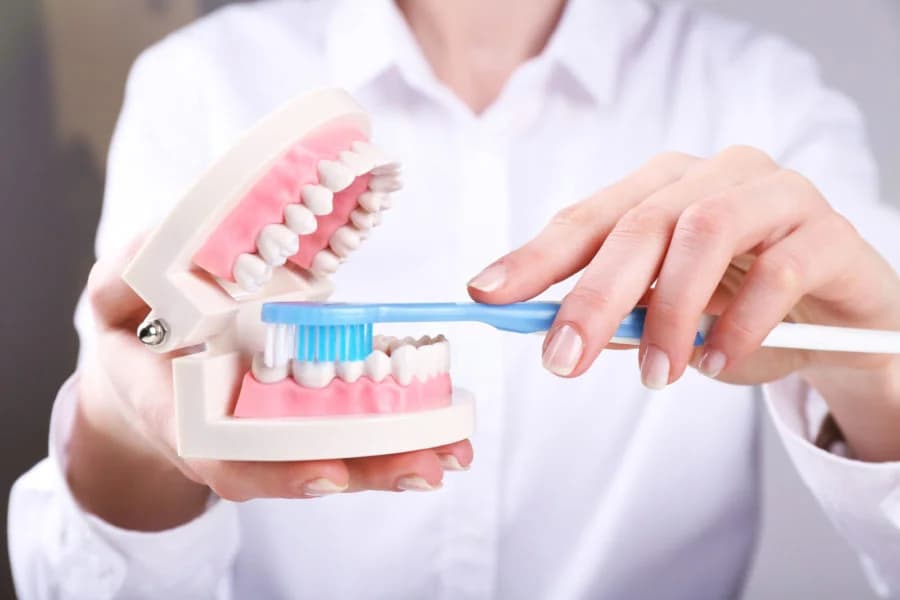 Электрическая зубная щётка, ирригатор и катушка нити на светлом фоне — иллюстрация к гиду по домашней гигиене