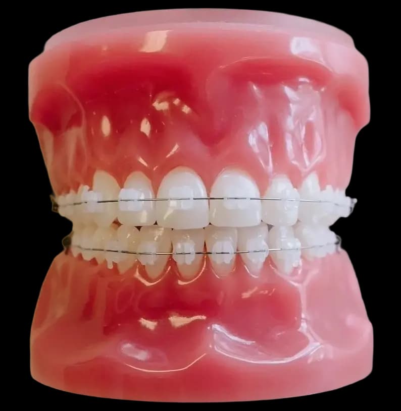 Здоровая улыбка и уход за полостью рта